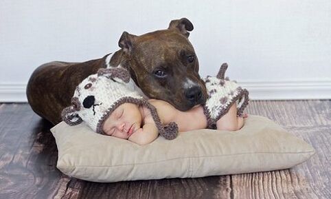 Uma criança com um cachorro