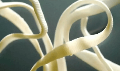 Como remover parasitas do corpo humano