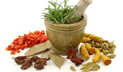 métodos de tratamento de parasitas no corpo